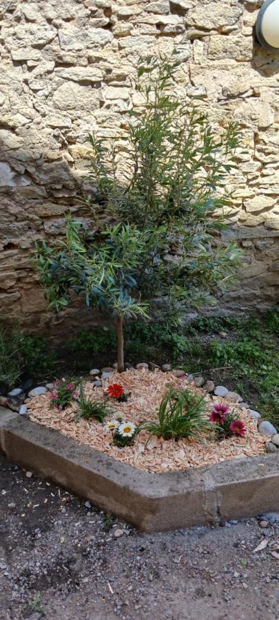 Le 9 De Cour, Chambre Chaco Carcassonne Luaran gambar